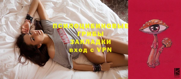 ГАЛЛЮЦИНОГЕННЫЕ ГРИБЫ Алексин