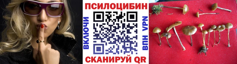 Галлюциногенные грибы Psilocybine cubensis купить закладку Дудинка